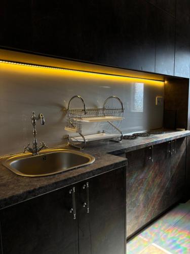 Dapur atau dapur kecil di Ruzica