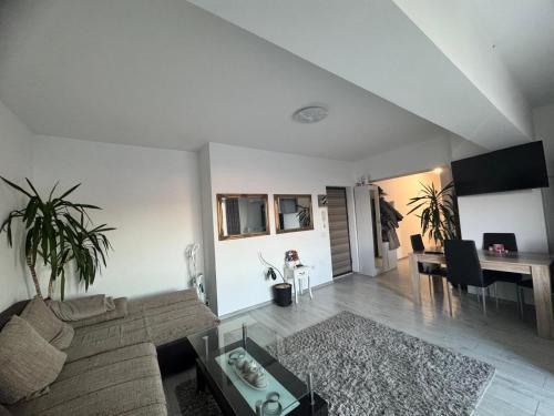 Μια τηλεόραση ή/και κέντρο ψυχαγωγίας στο Apartament Andreea pe Dem Radulescu!