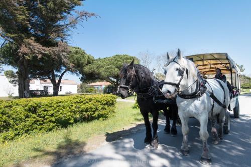 two horses pulling a horse drawn carriage down a street at Villa Kenavo - Maison familiale avec vue mer in Île dʼAix