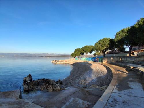 a view of the shore of a body of water at Apartment Camellia in Vantačići