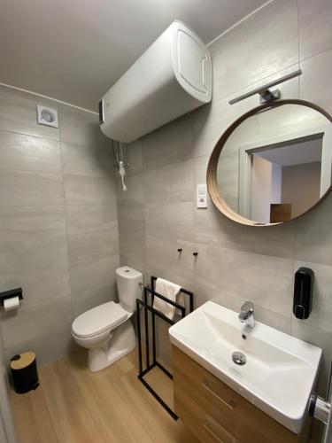 a bathroom with a toilet and a sink and a mirror at REMZ Apartments & Wellness in Dorog