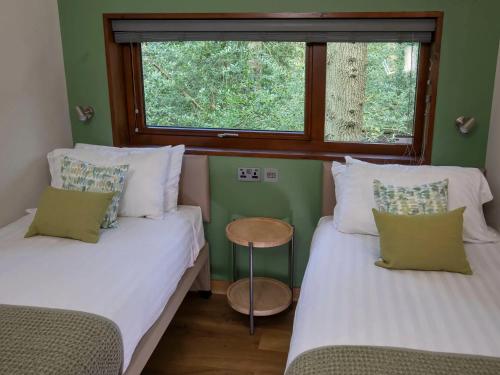 two twin beds in a room with a window at Garwnant, Brecon Beacons Cabins - Forest Holidays in Dol-y-gaer Station