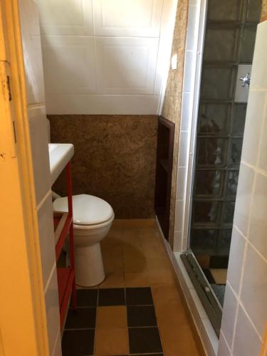 un piccolo bagno con wc e doccia di Ferienhaus Plöwen MV a Plöwen