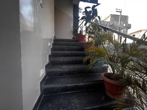 Fotografie z fotogalerie ubytování Sanjay Hotel v destinaci Jari