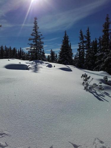 a snow covered hill with trees in the background at Appartement Edelweiss mit Infrarotkabine in Großsölk
