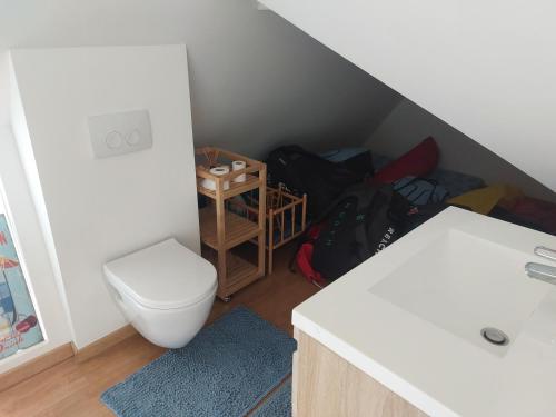 a small bathroom with a toilet and a sink at Nivekerke 8 Nieuwmunster De Haan, 3-bedroom holiday house for 4 to 6 people, between Wenduine, 1 km, and De Haan, 2 km, 500 meters from the beach,15 min from Bruges, Ostend and Knokke, nice big fenced garden in Zuienkerke