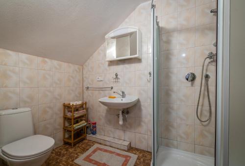 a bathroom with a shower and a toilet and a sink at Apartmán Milka in Demanovska Dolina