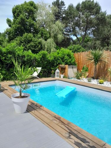 - une piscine avec une plante en pot dans une cour dans l'établissement Jolie maison avec piscine en centre village, à Salles