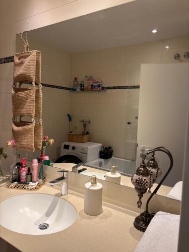 a bathroom with a sink and a mirror at ERBEX to in Dietzenbach