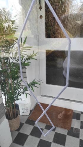a cat standing in front of a door with a plant at Retreat by the Feale in Listowel