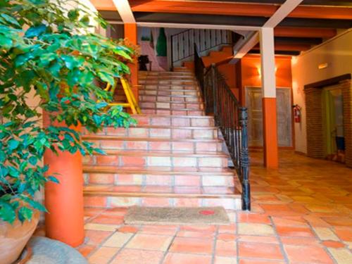 a stairway in a building with a plant at Apartamentos Señorio de Haro 3000 in Haro