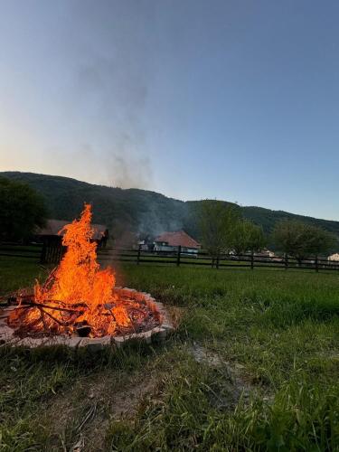 a fire pit in the middle of a field at Casa Santa Maria Bran in Moieciu de Jos