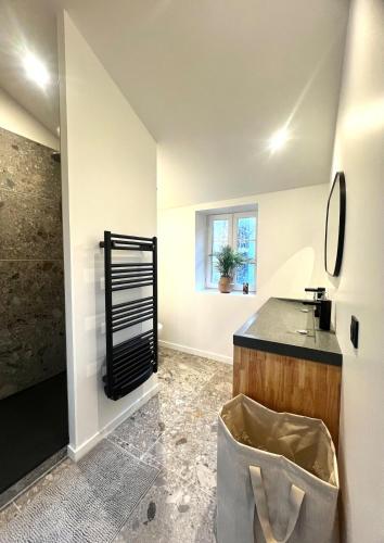 une salle de bain avec un lavabo et un miroir dans l'établissement Appartement Clermont-Fd Jaude, à Clermont-Ferrand