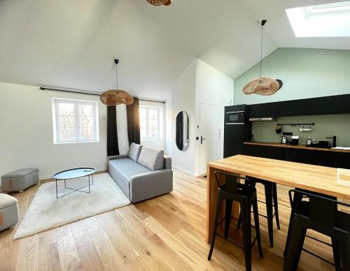 un salon avec un canapé et une table dans l'établissement Appartement Clermont-Fd Jaude, à Clermont-Ferrand