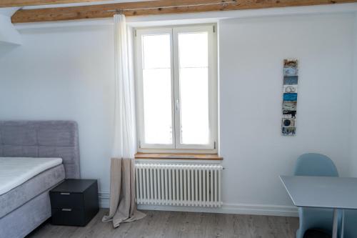 a bedroom with a bed and a window at Rheinfall Living in Neuhausen am Rheinfall