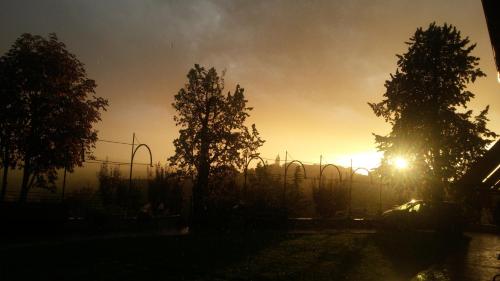 a sunset behind two trees and a roller coaster at Locanda del Boscogrande in Montegrosso dʼAsti