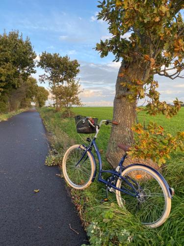 a bike parked next to a tree next to a road at Chalet Nature à 10 minutes d'Etretat in Fongueusemare