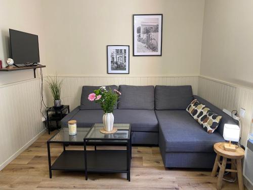 un salon avec un canapé bleu et une table dans l'établissement Henry's Place - Studio Cosy en hypercentre de Toulouse, à Toulouse