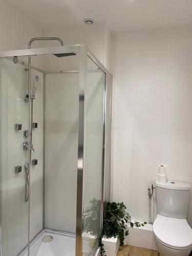 une salle de bain avec une douche en verre et des toilettes dans l'établissement Henry's Place - Studio Cosy en hypercentre de Toulouse, à Toulouse