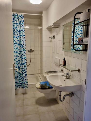 a bathroom with a sink and a toilet and a shower at Ferienwohnung Dreierlei in Wasserburg am Inn