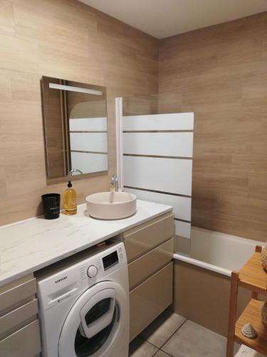 une salle de bain avec une machine à laver et un lavabo dans l'établissement Logement et parking privé proche centre, à Reims