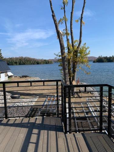 a dock with a fence and a tree and water at Gîte Le Marco Polo in Mont-Laurier