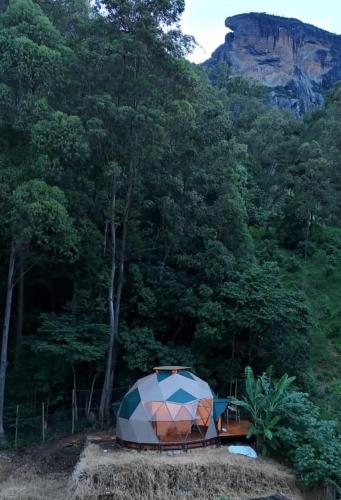 a tent in the middle of a forest of trees at Chalé Refugio da Pedra SP in São Bento do Sapucaí
