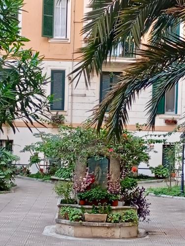 Ave Roma Suite