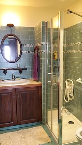 une salle de bain avec un lavabo et une douche avec un miroir dans l'établissement La vue sur mer, à La Croix-Valmer