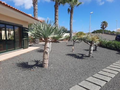 a row of palm trees in front of a building at Heritage Villa Porto Santo in Porto Santo