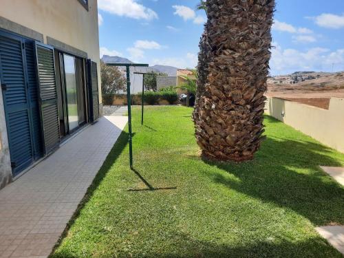 a palm tree in the grass next to a building at Heritage Villa Porto Santo in Porto Santo