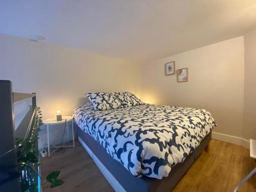 Lespinet BNB - Duplex avec parking photo 3