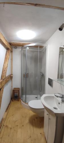 a bathroom with a shower and a toilet and a sink at Chata Wilczka in Miedzygorze