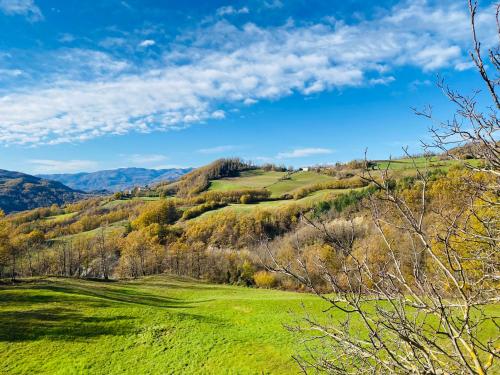 a green hillside with trees and mountains in the background at La Lupa e l'Orso in Berceto
