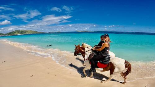 two people riding a horse on the beach at Duplex JUNGLE BLEUE Terrasse vue mer incroyable in Marigot