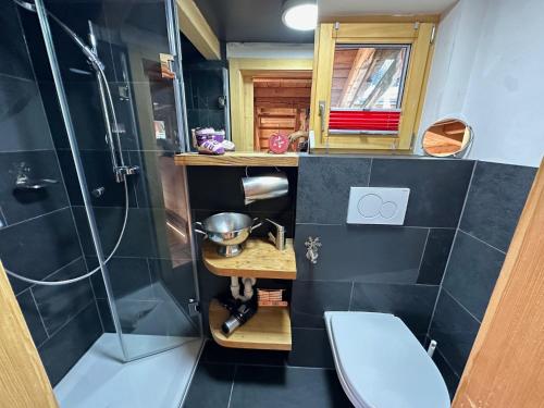 a small bathroom with a shower and a toilet at Charmant chalet authentique de montagne Bleusy- Nendaz idéal couple et famille in Saclentse