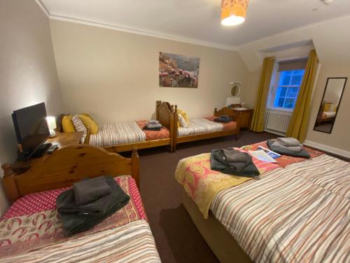 a room with three beds and a television in it at Forse of Nature in Latheron