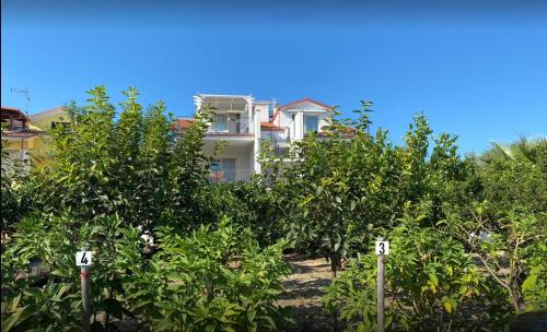 Gallery image of L'Orto di MiLa in Foce Varano