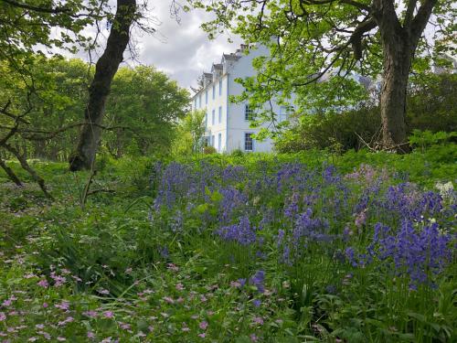 a field of purple flowers in front of a white building at Forse of Nature in Latheron
