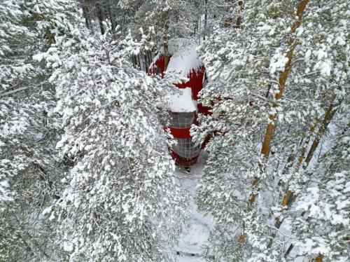 a red train traveling through a snow covered forest at Haven Islands incredible treehouse on private island in Torrflonäs