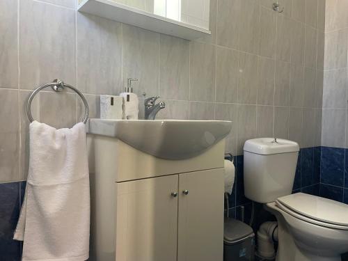 un baño con lavabo e inodoro en Voupalou Apartments 2, en Chios