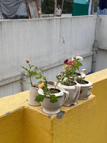 Fotografie z fotogalerie ubytování BhubanBari Heritage Home Stay v destinaci Kalkata