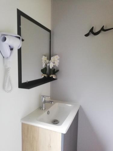une salle de bain avec un lavabo et un miroir dans l'établissement Mobil-Home 2 chambres, à Ascou