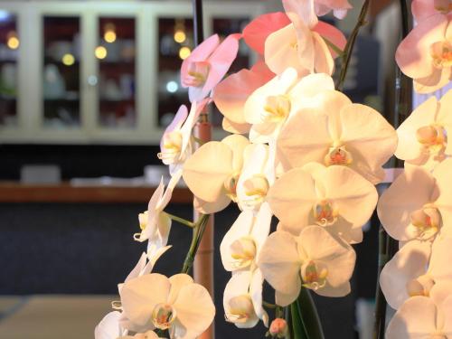 a bunch of white and pink orchid flowers at Hotel Grace Hakuba in Hakuba
