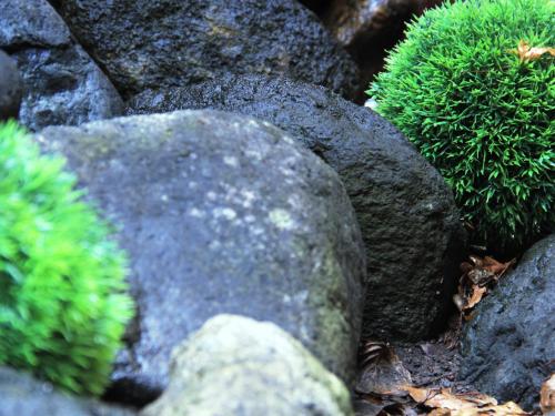 a garden with rocks and green plants at Hotel Grace Hakuba in Hakuba