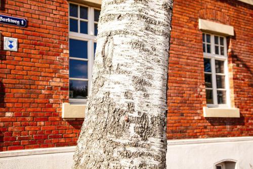 a trunk of a tree in front of a brick building at Herrenhaus Brookhusen nahe Rostock & Ostsee in Benitz