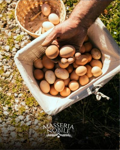 フィシャーノにあるMasseria Nobile Relaisのギャラリーの写真