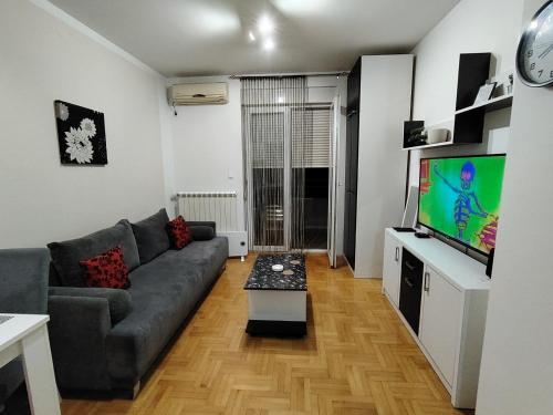 TV a/nebo společenská místnost v ubytování Apartman Breza 3