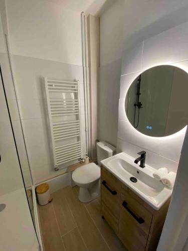 une salle de bain avec toilettes, lavabo et miroir dans l'établissement Studio équipé proche Thermes Royat, à Chamalières