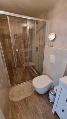 a bathroom with a shower with a toilet and a sink at Apartman Manuela in Pag
